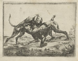 kamphunder