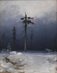 Tre i en vinterlig skog