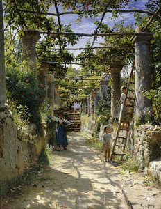 I skyggen av en italiensk pergola, en varm ettermiddag i Anacapri