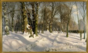 Snødekt vinterskog i sollyset