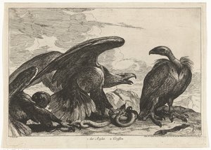 Gribb og en ørn med slange 1. des Aigles 2. Griffon (tittel på objekt) Fugler fra menasjeriet i Versailles (serietittel)