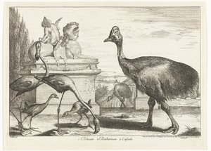 Kasurier, lilla hønsehøne og flamingoer 1. Bleuets 2 Becharoux 3. Casuels (tittel på objekt) Fugler fra menasjeriet i Versailles (serietittel)