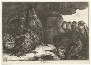 Ugler i en hule des Ducs (tittel på objekt) Fugler fra menasjeriet i Versailles (serietittel)