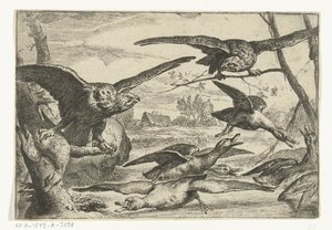 Roofvogels Forskjellige fugler (serietittel) av Peeter Boel