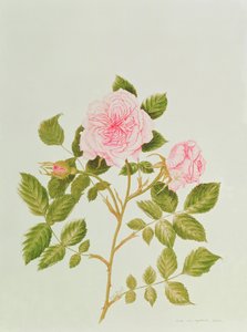  av Peggy Wyatt