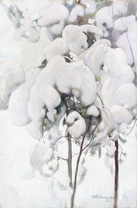 Snødekte furuplanter