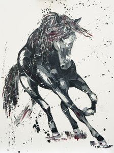 Betydning, 2016 av Penny Warden