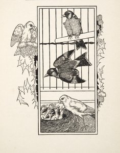A Charitable Canary, fra A Hundred Anecdotes of Animals, pub. 1924 av Percy J. Billingshurst
