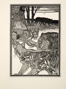 A Grateful Lioness, fra A Hundred Anecdotes of Animals, pub. 1924 (gravering) av Percy J. Billingshurst