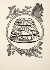 A Refugee Squirrel, fra A Hundred Anecdotes of Animals, pub. 1924 av Percy J. Billingshurst
