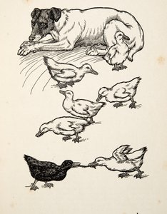 A Singular Foster-Mother, fra A Hundred Anecdotes of Animals, pub. 1924 av Percy J. Billingshurst