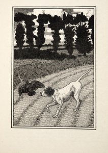 Deceiving the Fowler, fra A Hundred Anecdotes of Animals, pub. 1924 av Percy J. Billingshurst