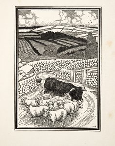 Going to Market, fra A Hundred Anecdotes of Animals, pub. 1924 av Percy J. Billingshurst