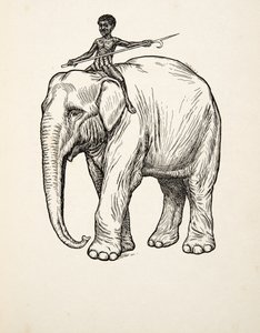 Remorse, fra A Hundred Anecdotes of Animals, pub. 1924 av Percy J. Billingshurst