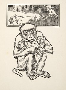 Soliciting Succour, fra A Hundred Anecdotes of Animals, pub. 1924 (gravering) av Percy J. Billingshurst