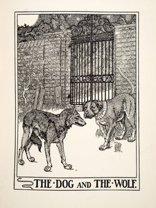 The Dog and the Wolf, fra A Hundred Fables of Aesop, pub.1903 (gravering) av Percy J. Billingshurst