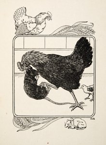 The Heroism of a Hen, fra A Hundred Anecdotes of Animals, pub. 1924 av Percy J. Billingshurst