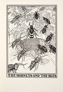The Hornets and the Bees, fra Fontaine Fables, pub. 1905 (gravering) av Percy J. Billingshurst