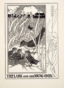 The Lark and her Young Ones, fra A Hundred Fables of Aesop, pub.1903 (gravering) av Percy J. Billingshurst