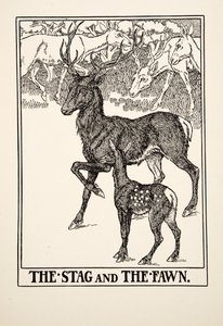 The Stag and the Fawn, fra A Hundred Fables of Aesop, pub.1903