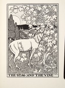 The Stag and the Vine, fra Fontaine Fables, pub. 1905 av Percy J. Billingshurst