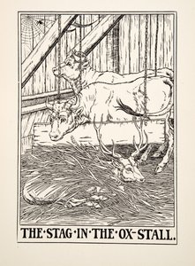 The Stag in the Ox Stall, fra A Hundred Fables of Aesop, pub.1903 (gravering) av Percy J. Billingshurst