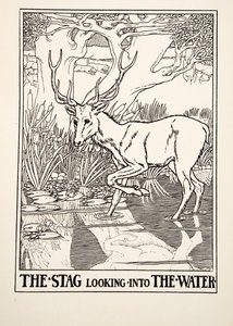 The Stag looking into the Water, fra A Hundred Fables of Aesop, pub.1903 (gravering) av Percy J. Billingshurst