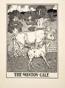 The Wanton Calf, fra A Hundred Fables of Aesop, pub.1903