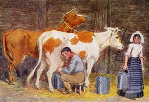 Melketid (farge litho)