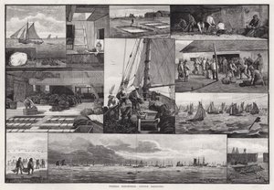 Fiskeindustri, østersmudring (gravering) av Percy Robert Craft