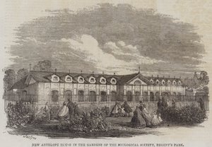 New Antilope House i Gardens of the Zoological Society, Regent