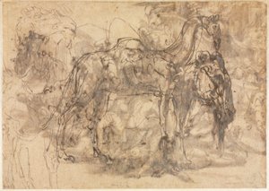 Skisser av dyr verso, ca. 154547. av Perino del Vaga