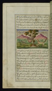En rev og en tromme fra Lights of Canopus av Persian School