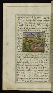 En sjakal sluker en hare fra Lights of Canopus, 1847 av Persian School