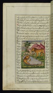 En ond løve, lurt av en hare, ser inn i en brønn og ser refleksjonen hans fra Lights of Canopus av Persian School