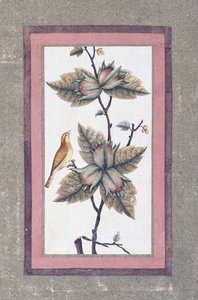 Fugle- og blomsterstudie, ca. 1780