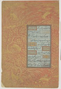 Folio av kalligrafi, Iran, Safavid-dynastiet (blekk, ugjennomsiktig akvarell og gull på papir)