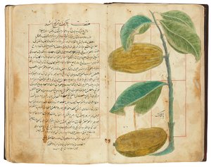 Hassan Bin Baqir Bin Jarrah: Ghalzar Al-Raihain, Qajar Iran av Persian School