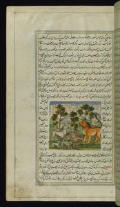 Løve og andre dyr fra Lights of Canopus av Persian School