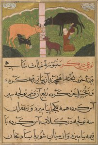  av Persian School