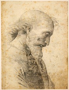 Byste av en mann, 1500-1503.