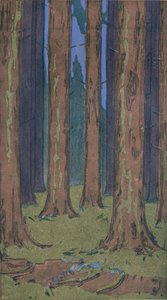 Skogen, 1901