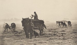 En frostig morgen av Peter Henry Emerson