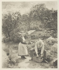 A Garden End (Suffolk) av Peter Henry Emerson