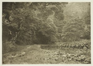  av Peter Henry Emerson