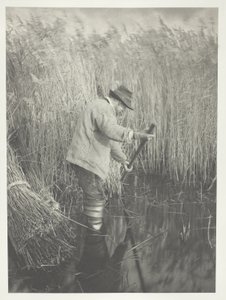  av Peter Henry Emerson