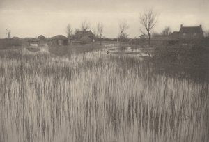 En Rushy Shore av Peter Henry Emerson