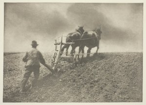 A Stiff Pull, (Suffolk) av Peter Henry Emerson