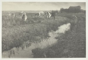  av Peter Henry Emerson