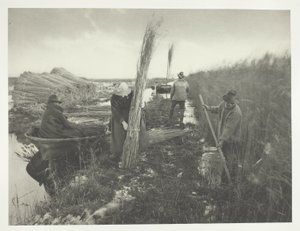  av Peter Henry Emerson